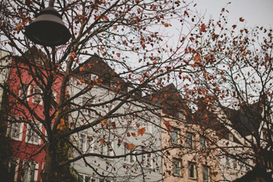 8. Pasirinkite vieną: